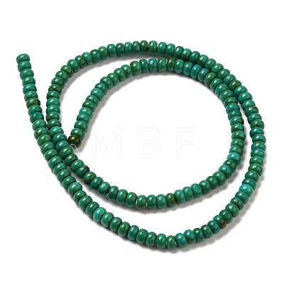 Natural Howlite Beads Strands G-B049-C01-01B-1