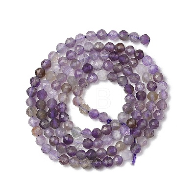 Natural Amethyst Beads Strands G-G189-D22-06-1