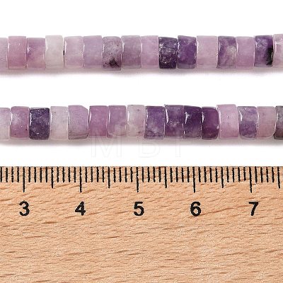 Natural Lepidolite/Purple Mica Stone Beads Strands G-M420-A19-01-1