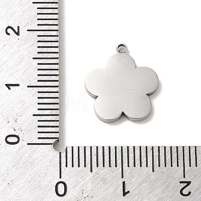 304 Stainless Steel Enamel Charms STAS-L022-240P-1