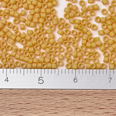 MIYUKI Delica Beads X-SEED-J020-DB2285-1