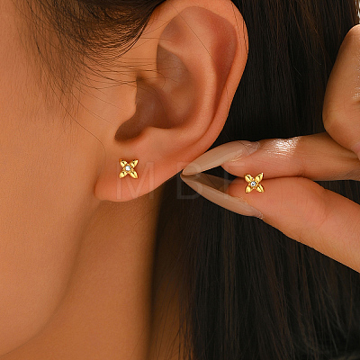 Stainless Steel Stud Earrings WE4246-1