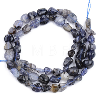 Natural Kyanite/Cyanite/Disthene Beads Strands G-S359-152-1