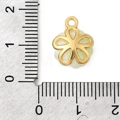 Alloy Glass Charms FIND-C079-05G-02-1
