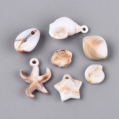 Two Tone Ocean Series Opaque Plastic Imitation Gemstone Pendants KY-Q005-05-1