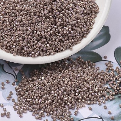 MIYUKI Delica Beads SEED-J020-DB2271-1