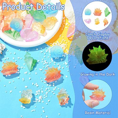 30Pcs 6 Styles Luminous Resin Conch Display Decorations DJEW-CJ0001-37-1