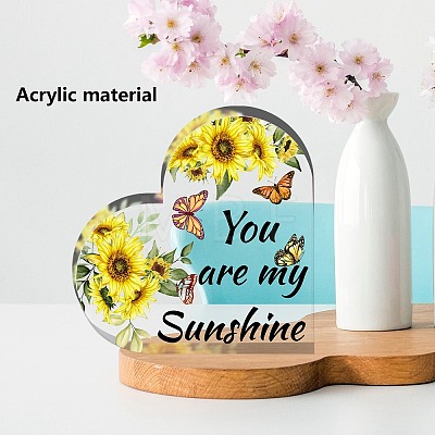 Acrylic Decoration DIY-WH0348-010-1