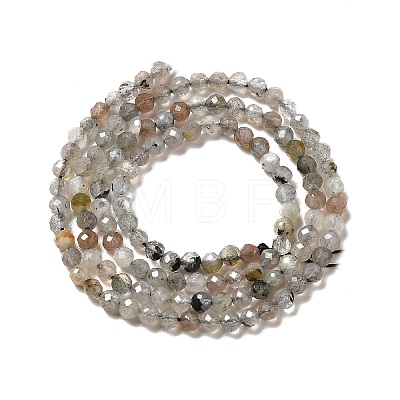 Natural Labradorite Beads Strands X-G-I341-11-1