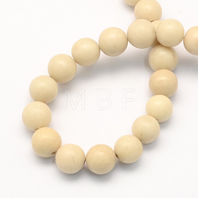 Natural Fossil Round Beads Strands G-S171-8mm-1