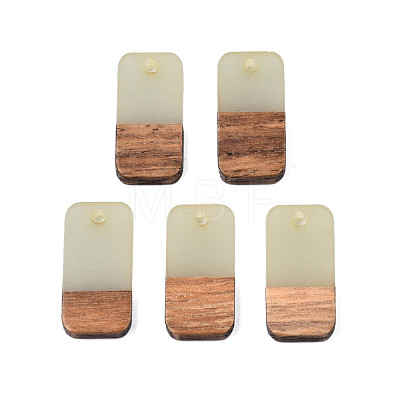 Two-tone Transparent Resin & Walnut Wood Pendants RESI-S384-008A-B05-1
