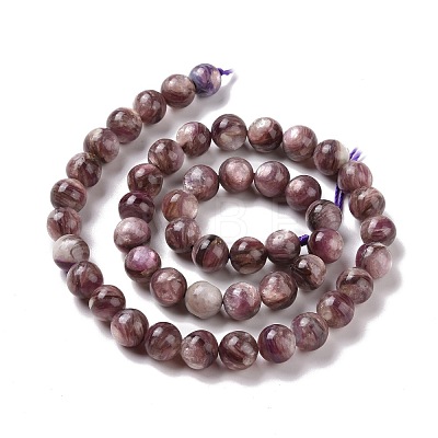 Natural Lepidolite/Purple Mica Stone Beads Strands G-G925-02B-1
