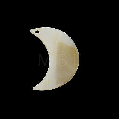 Moon Freshwater Shell Pendants SHEL-F001-12A-1