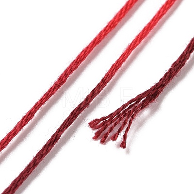 10 Skeins 6-Ply Polyester Embroidery Floss OCOR-K006-A44-1