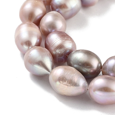 Natural Cultured Freshwater Pearl Beads Strands PEAR-P062-12D-1