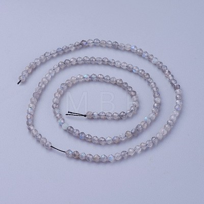 Natural Labradorite Beads Strands G-F619-15-3mm-1