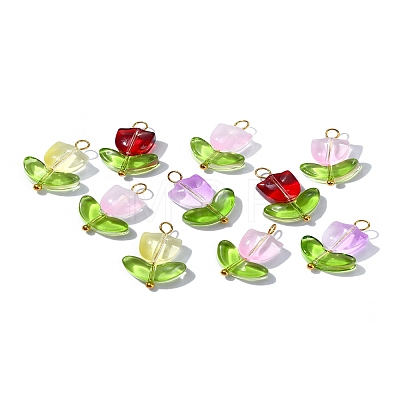 Handmade Lampwork Pendants PALLOY-YW028-01-1