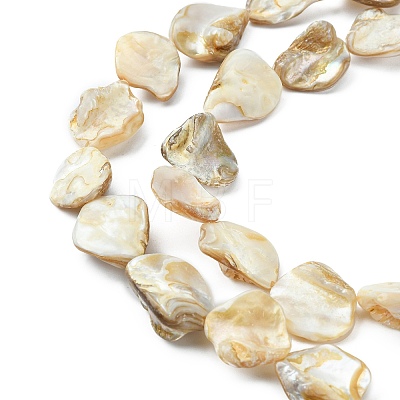 Handmade Shell Beads Strands PBB471-1-1