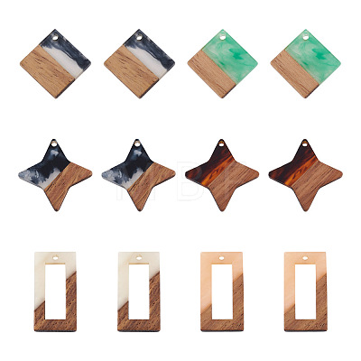 12Pcs 6 Styles Transparent Resin & Walnut Wood Pendants RESI-CW0001-14-1