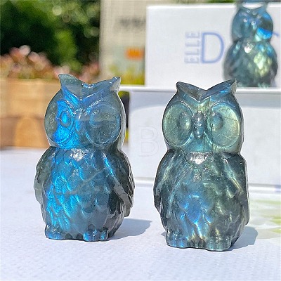 Natural Labradorite Carved Healing Owl Figurines PW-WG54127-01-1