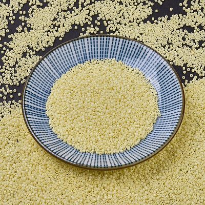 MIYUKI Delica Beads SEED-J020-DB2101-1