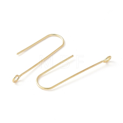 316 Surgical Stainless Steel Earring Hooks STAS-Z124-02D-G-1