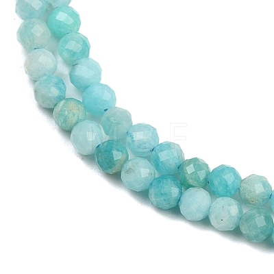 Natural Amazonite Beads Strands G-P572-B04-A-1