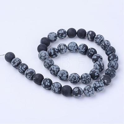 Natural Snowflake Obsidian Beads Strands G-Q462-10mm-10-1