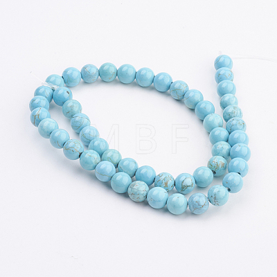 Natural Magnesite Beads Strands TURQ-P027-28-1