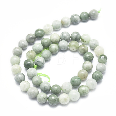 Natural Myanmar Jade/Burmese Jade Beads Strands G-D0001-08-8mm-1
