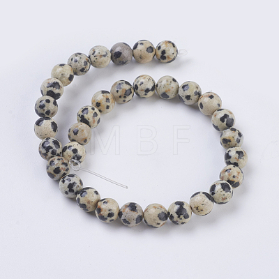 Natural Dalmation Jasper Beads Strands G-G515-6mm-06-1