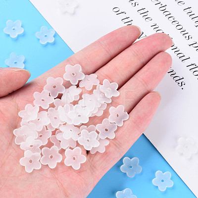 Transparent Acrylic Beads MACR-S373-118-D-1