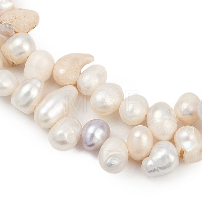 Natural Cultured Freshwater Pearl Beads Strands PEAR-I007-04C-04D-1