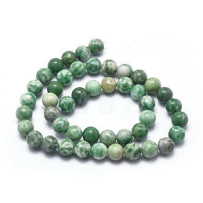 Natural Qinghai Jade Beads Strands G-I254-06B-1