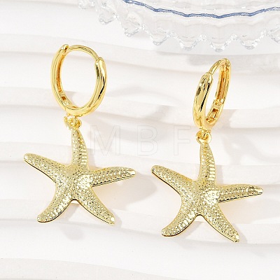 Brass Hoop Earrings EJEW-Q036-03C-G-1