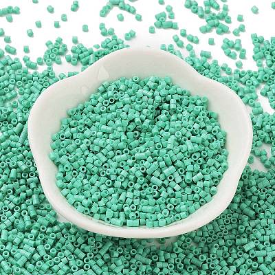 Baking Paint Glass Seed Beads SEED-S042-05B-60-1