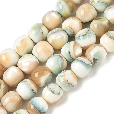 Natural Seashell Shell Beads Strands SH-CBAFEDD-01A-1