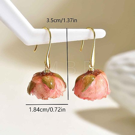 Brass Resin Dangle Earrings for Women NB9245-2-1