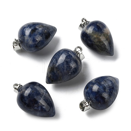 Natural Sodalite Pendants GG-K002-13J-1