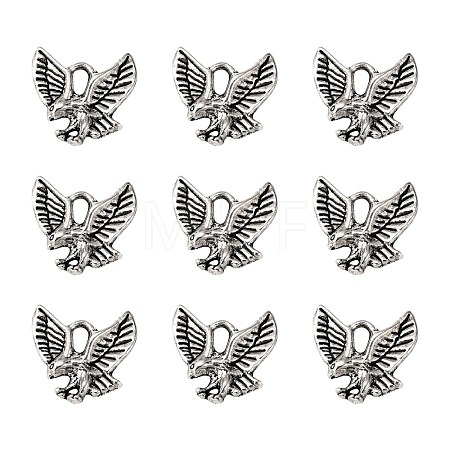 Tibetan Style Alloy Pendants LS-TIBEP-20305-AS-NR-1