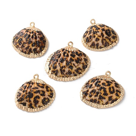 Natural Sea Shell Pendants SSHEL-B002-02G-01-1