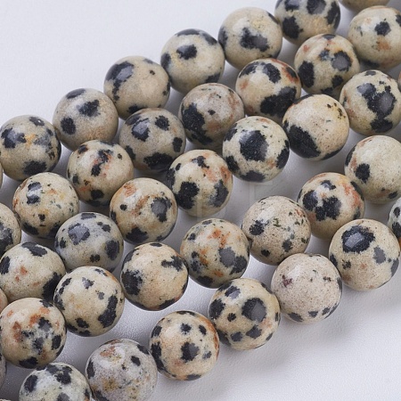 Natural Dalmation Jasper Beads Strands G-G515-6mm-06-1