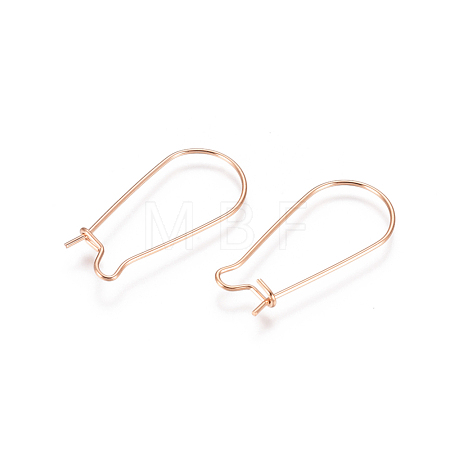 304 Stainless Steel Hoop Earring Findings STAS-E484-66B-RG-1