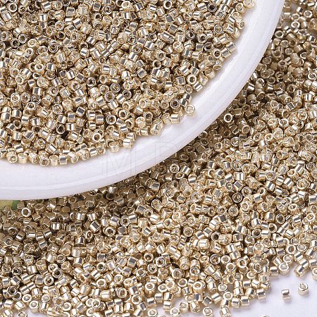 MIYUKI Delica Beads X-SEED-J020-DB0433-1