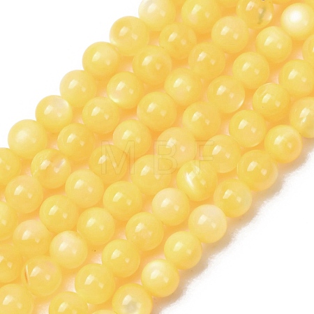 Dyed Natural Freshwater Shell Beads Strands SH-CBA2978-07C-01-1