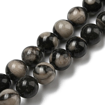 Natural Black Fossil Coral Beads Strands G-R494-A04-03-1