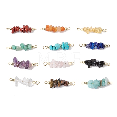 12Pcs 12 Styles Mixed Gemstone Chip Beaded Connector Charms PALLOY-JF02899-1
