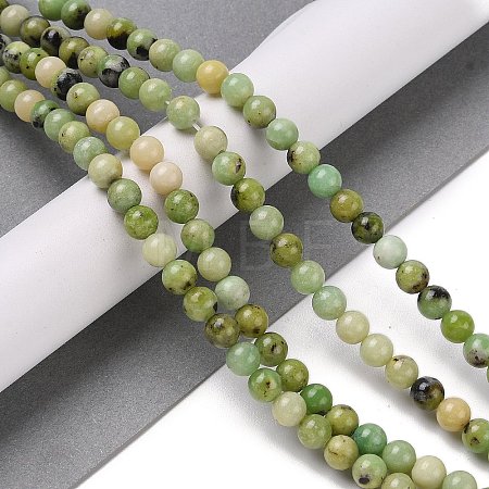 Natural Serpentine Bead Strands G-N166-6-1-1