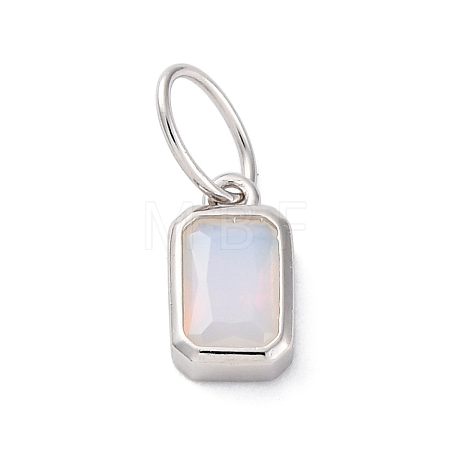 925 Sterling Silver Cubic Zirconia Charms STER-NH0014-01P-06-1