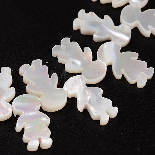 Natural Shell Beads BSHE-O015-25-1